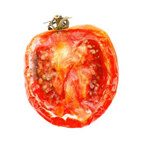 Fantastic witch spoiled tomatoes